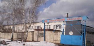 Успешность деятельности любого предприятия во многом зависит от работы его транспортного звена Шумерлинский хлебозавод