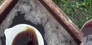 Как разводить куриный помёт для подкормки растений, свойства удобрения