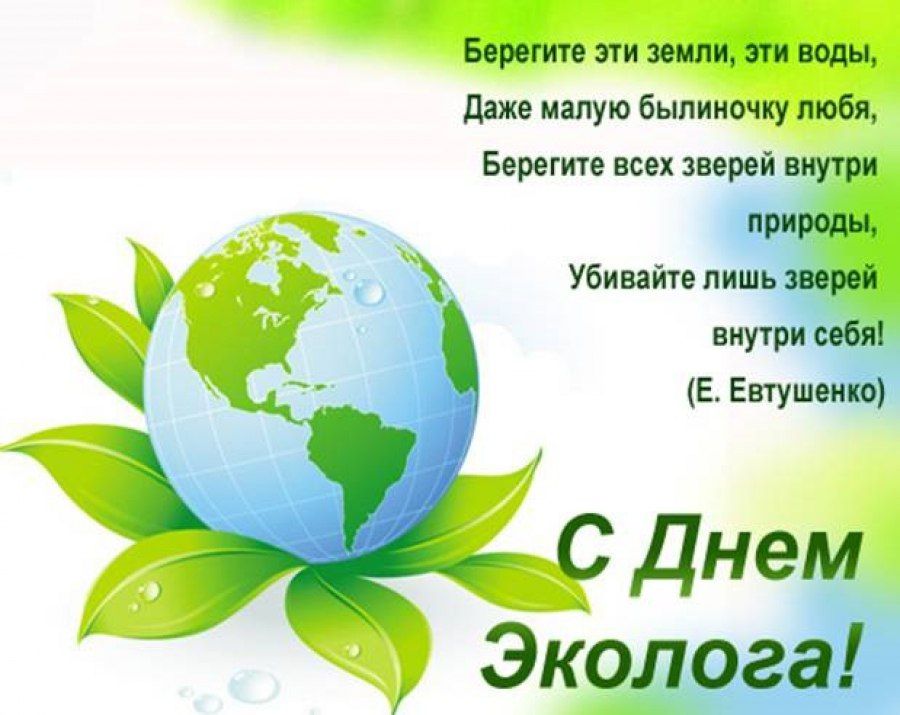 День эколога в России - 5 июня