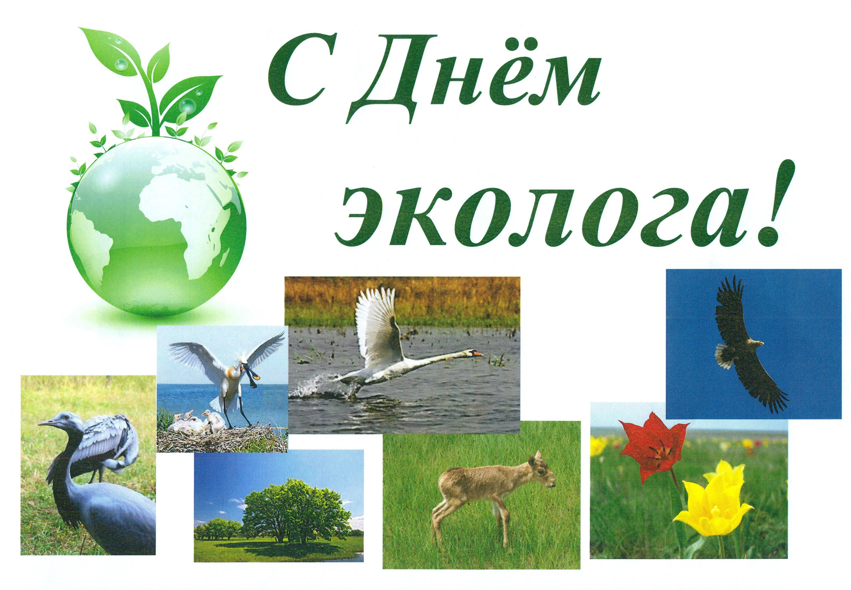 День эколога в России - 5 июня