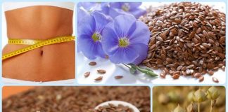 Семена льна: польза и вред. Как принимать для лечения и профилактики Семена льна: польза и вред. Как принимать для лечения и профилактики
