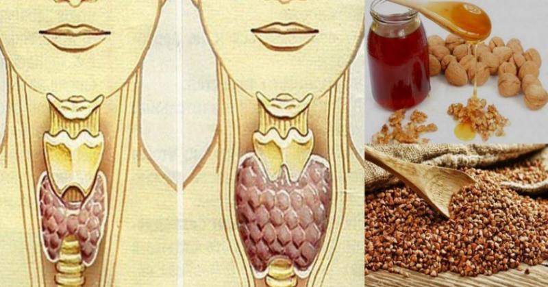 Гречка с мёдом и орехами для щитовидной железы
