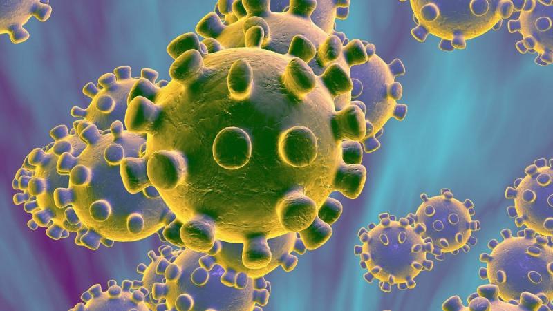 Что такое коронавирус и его симптомы у людей