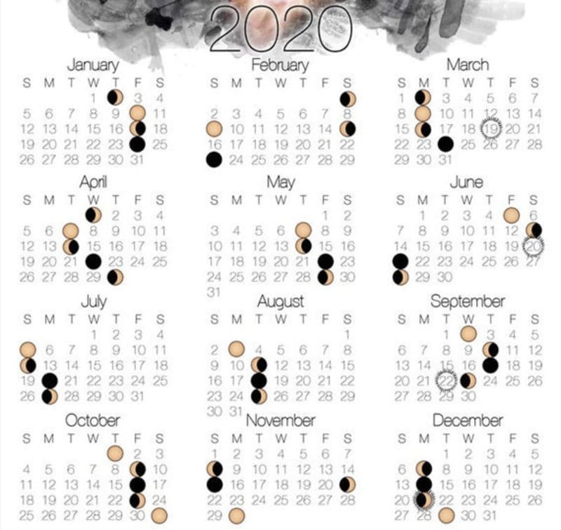 Когда сажать перец на рассаду в 2020 году, посадочный календарь