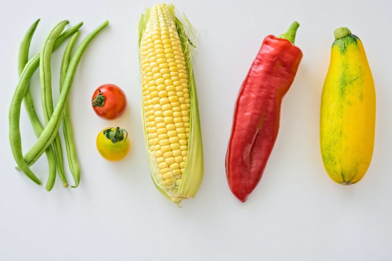 Как отличить кормовую кукурузу от пищевой и сферы применения обоих видов