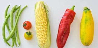 Как отличить кормовую кукурузу от пищевой и сферы применения обоих видов кукуруза